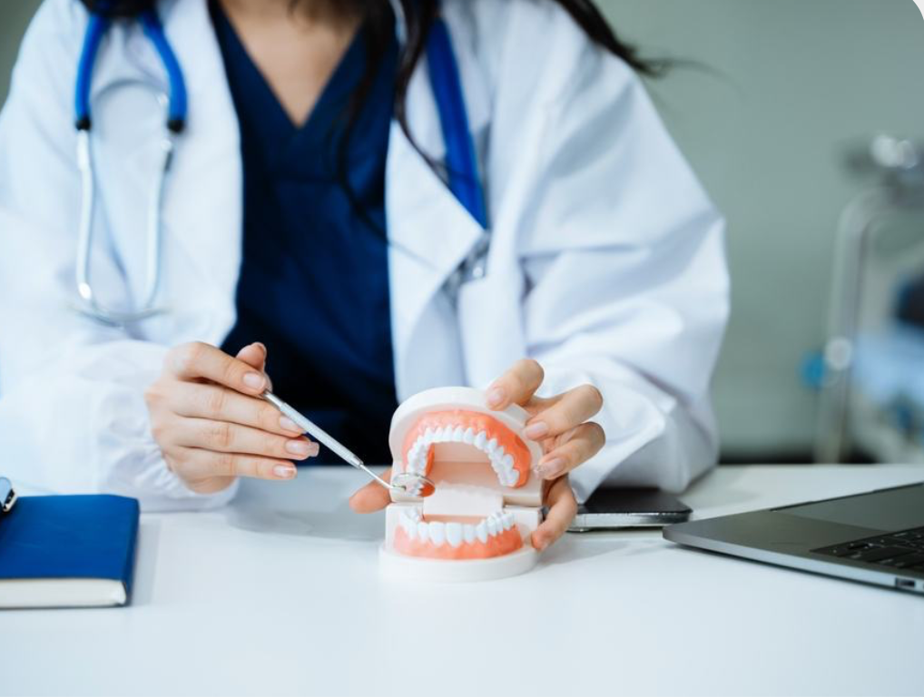 Dental professional demonstrating treatment using a model of teeth